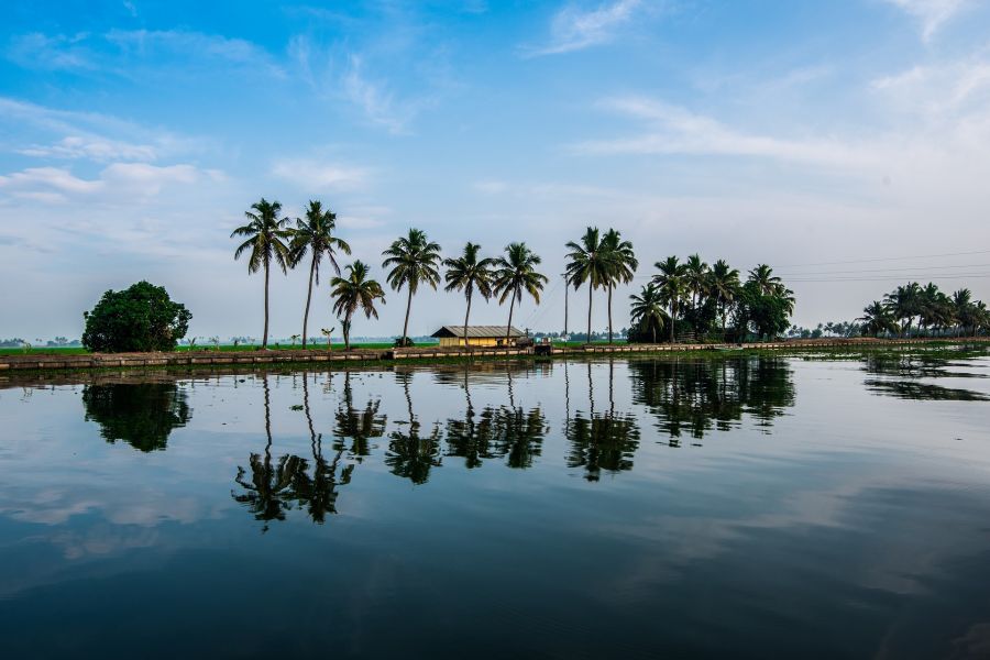 Inde du Sud : Circuit découverte et expérience ayurvédique dans le Kerala