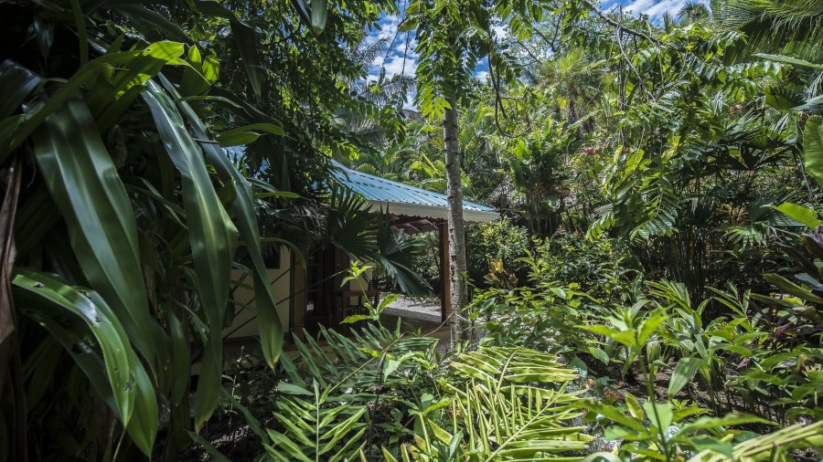 Ecolodge au Costa Rica en totale immersion dans la nature