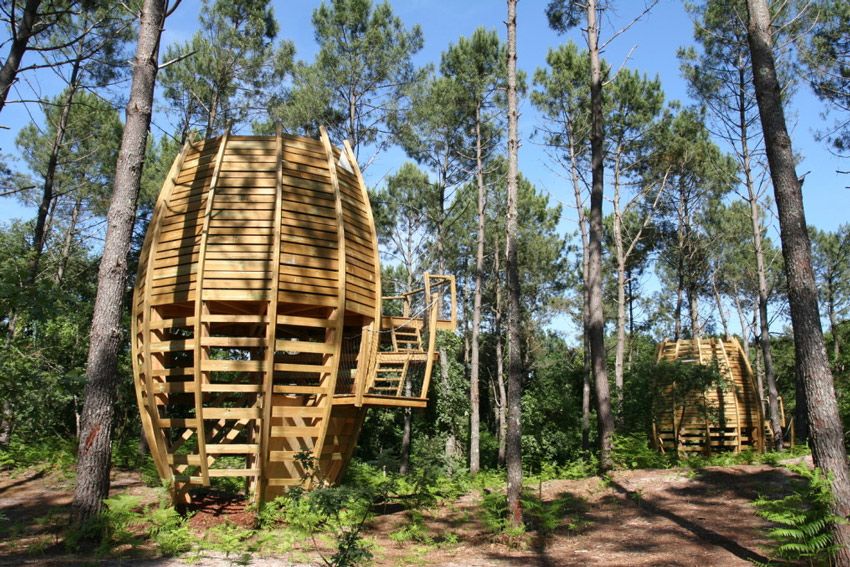 Cabane dans les arbres dans les Landes