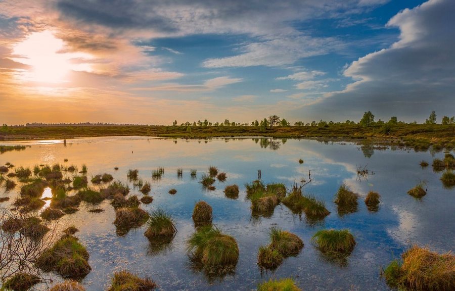 Les Parcs Naturels régionaux en France : le guide 2023 des parcs incontournables à visiter