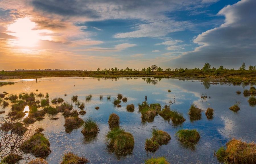 Les Parcs Naturels régionaux 