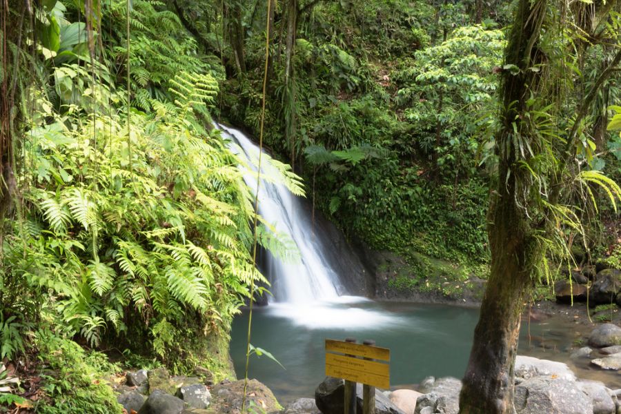 Que voir/que faire en Guadeloupe ?