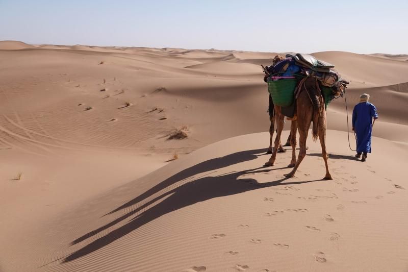 Partez en voyage au Maroc avec notre partenaire Ecosafaris