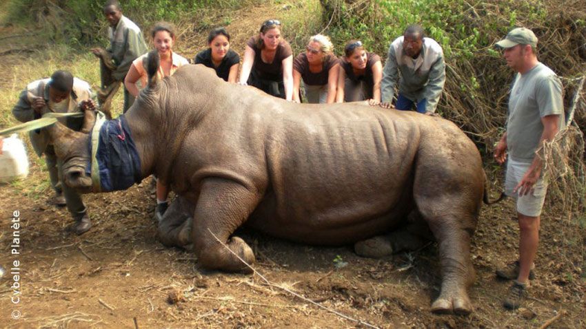 Mission écovolontaire pour le suivi de la faune sauvage