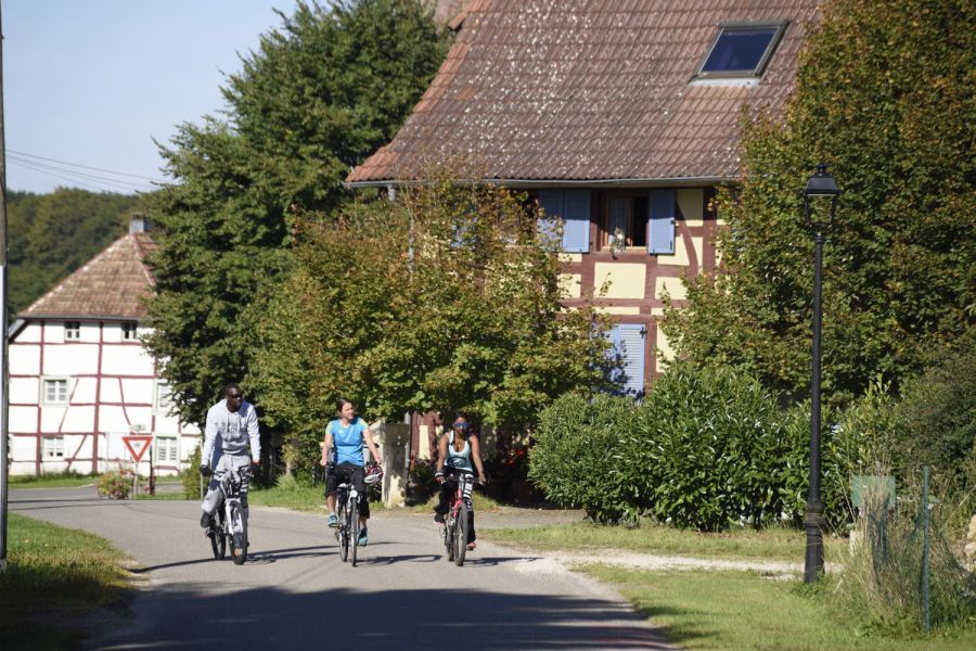 La Francovélosuisse, l’itinéraire idéal pour tous