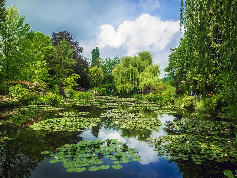 Envie de balades champêtres dans la campagne normande ?