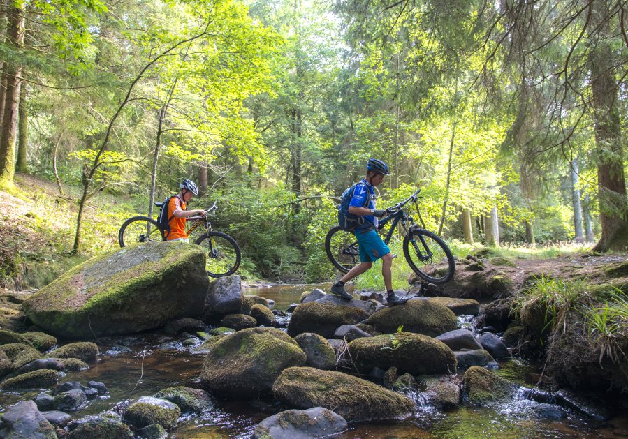 La Bourgogne Franche-Comté à vélo : EuroVelo6, FrancoVéloSuisse, Voie Bleue, Tour de Bourgogne à Vélo...