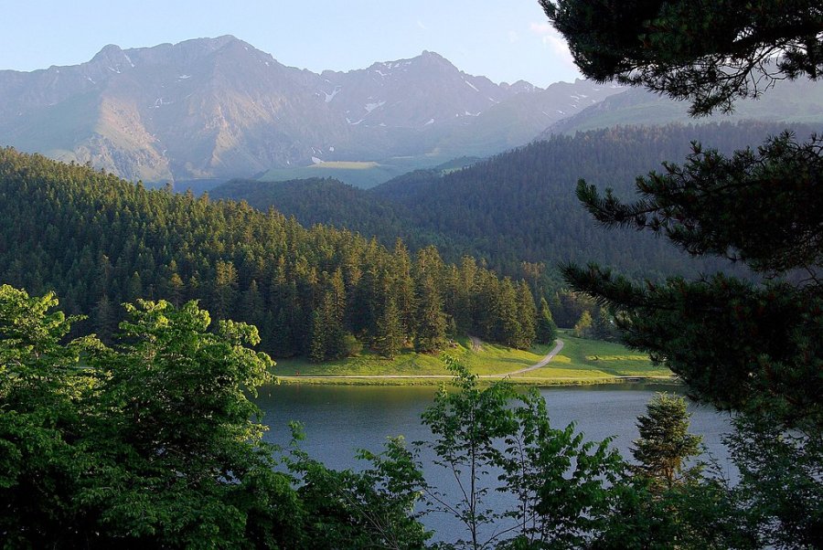 Le Lac de Payolle dans les Hautes Pyrénées : que voir et que faire aux alentours ?