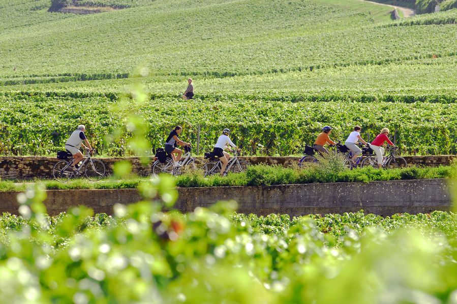 Le Tour de Bourgogne à Vélo® (V51 et V51a)