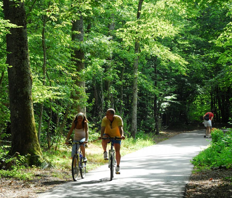 Empruntez la voie verte des lacs à vélo