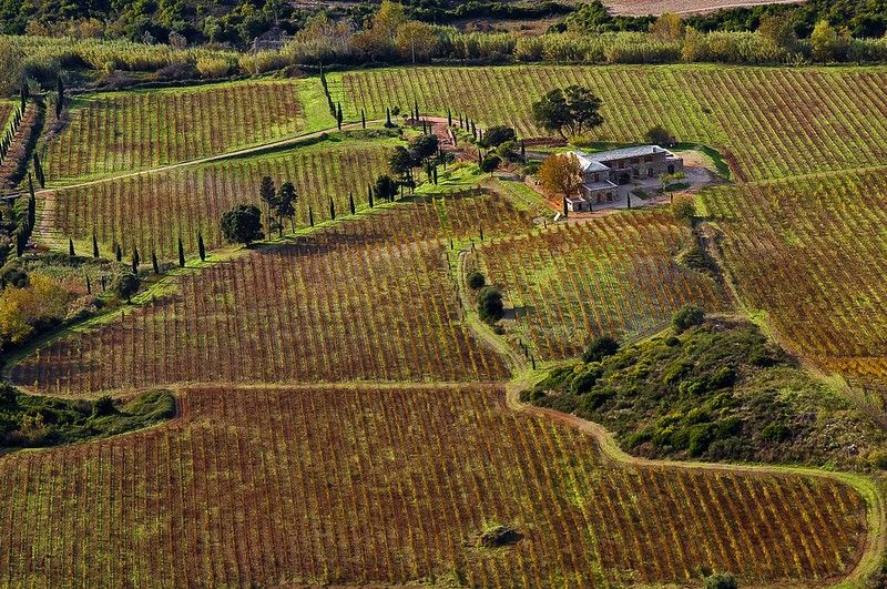 La Corse, terre de traditions et de gastronomie