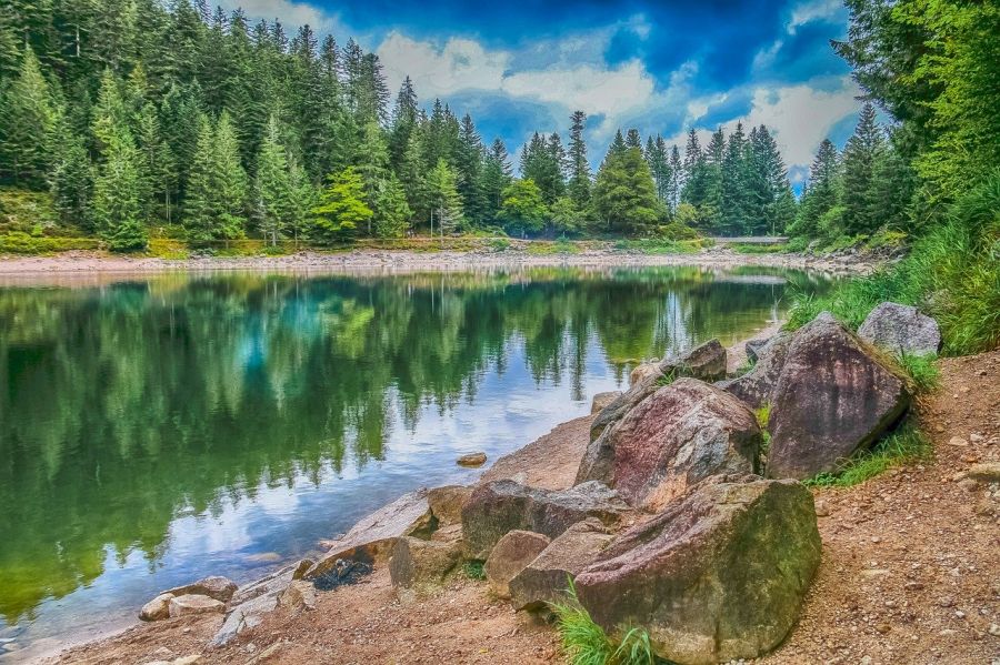 Un réservoir de biodiversité