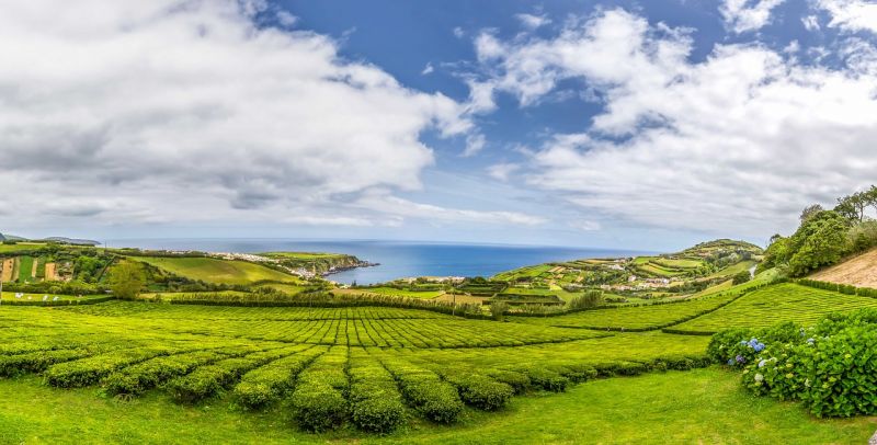 Quand voyager aux Açores ?