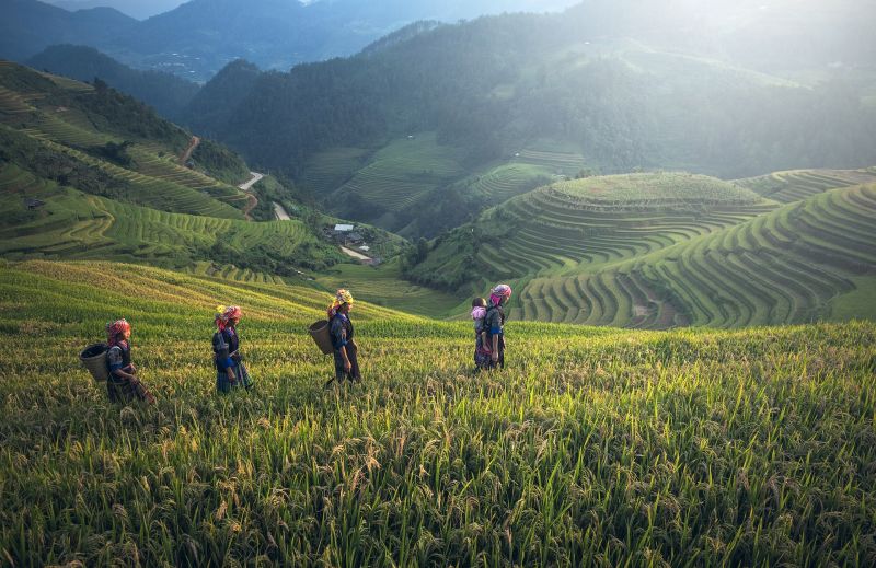 Cambodge : Séjour en immersion et échange culturel en pays Khmer