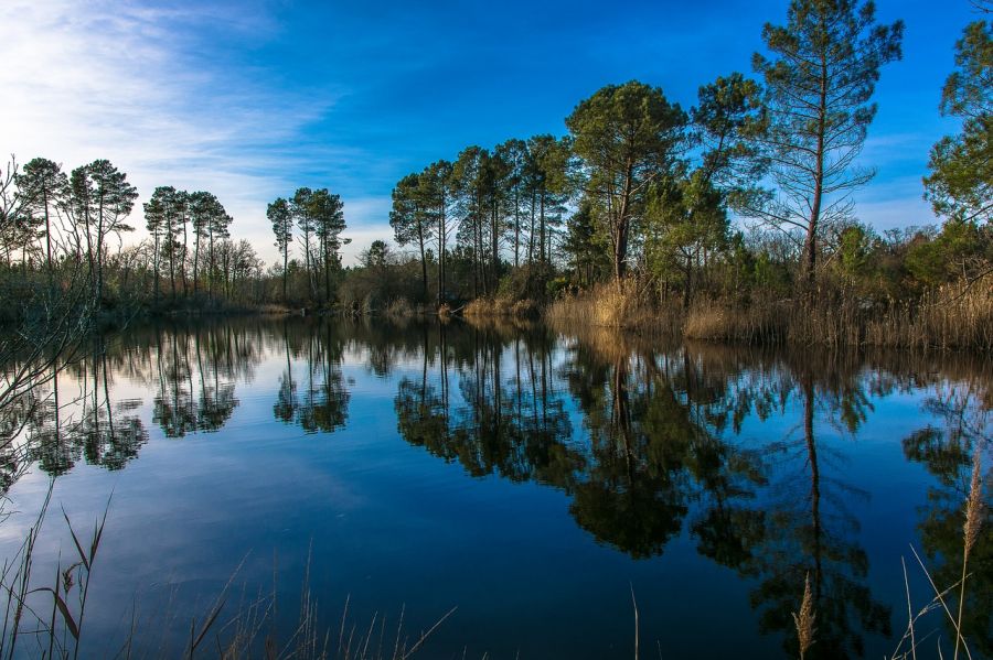 Le Parc naturel régional des Landes de Gascogne