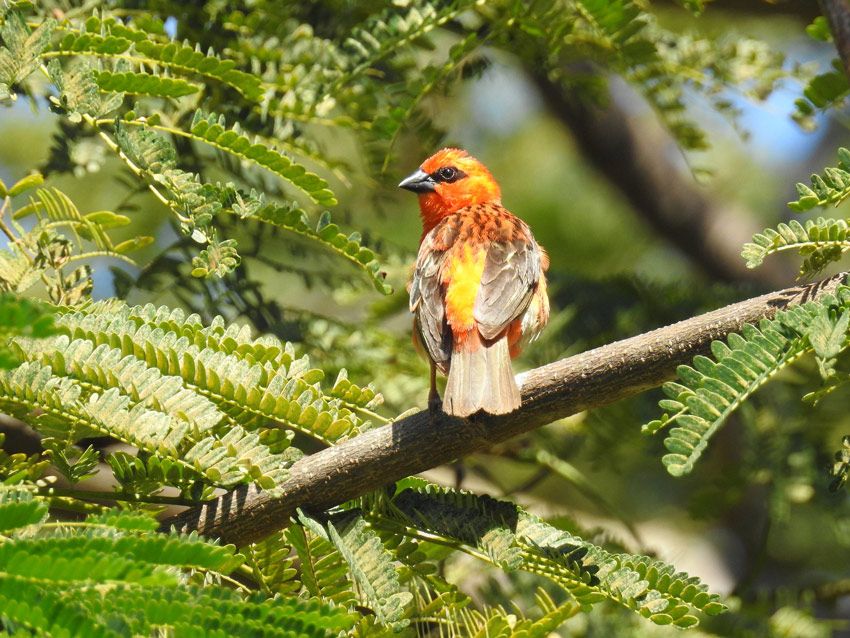 Voyage responsable et solidaire à Madagascar, un paradis de biodiversité