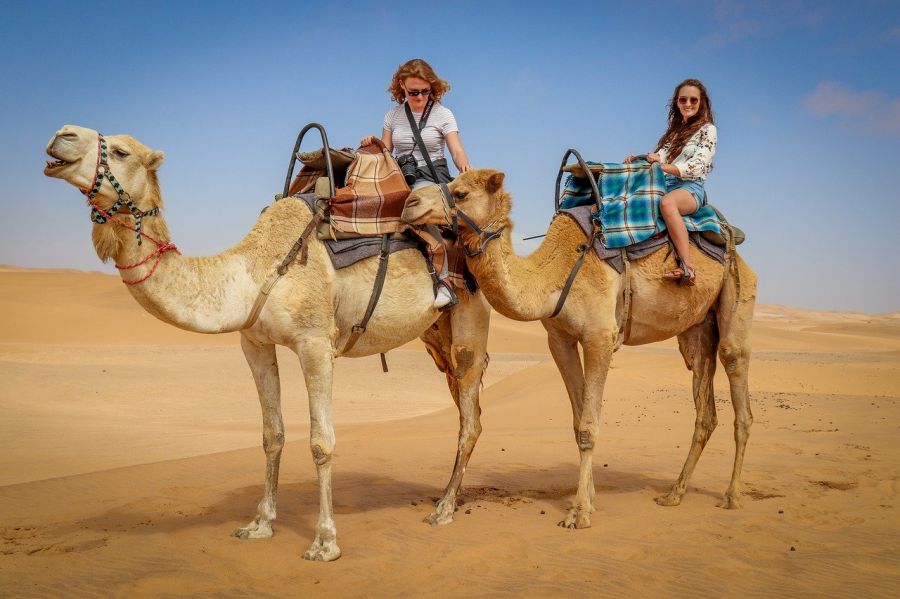 Quand partir pour voyager autrement en Namibie ?