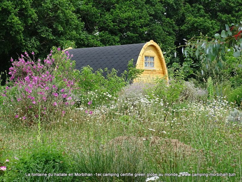 Camping écologique en Bretagne