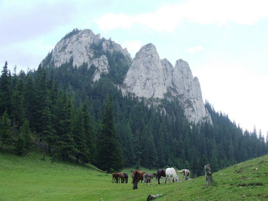 Randonnée à cheval en Transylvanie au pays de Dracula