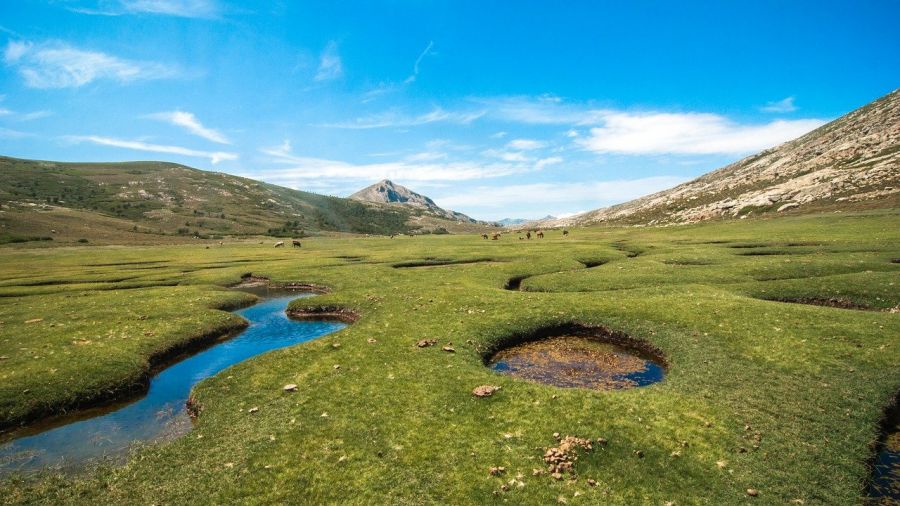 Le Parc naturel régional de Corse