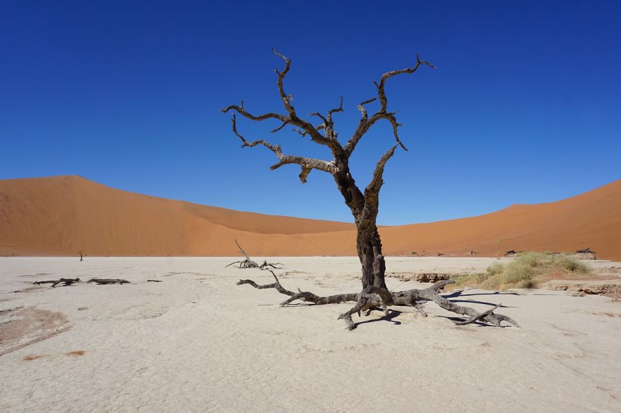 Jour 10: SOSSUSVLEI, désert du Namib (environ 340 km width=