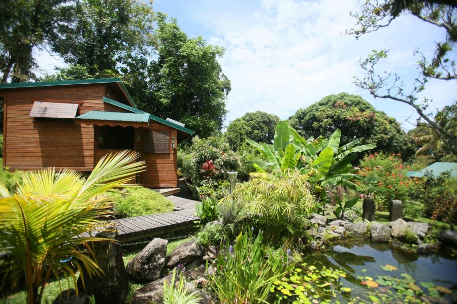 Ecolodge en Guadeloupe aux portes du Parc National de Guadeloupe