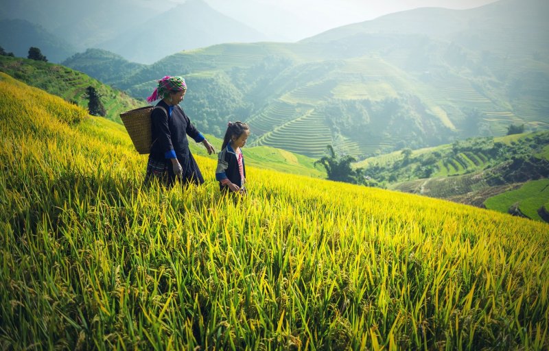 Ecotourisme et voyage solidaire au Cambodge : un joyau méconnu de l'Asie