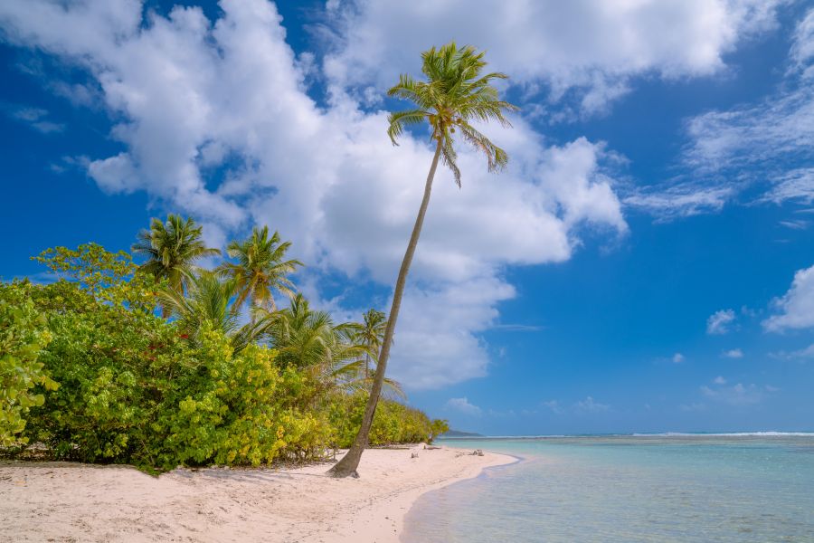 Écotourisme en Guadeloupe