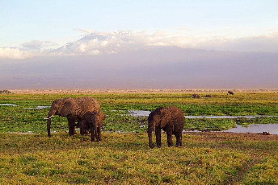 Ecotourisme et voyage solidaire au Kenya, pays des Big Five