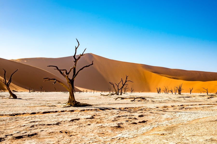 Voyage responsable et écosafaris en Namibie