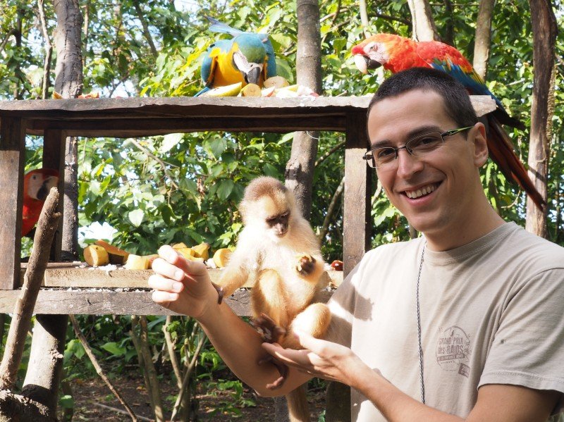 Ecovolontariat au Pérou pour la protection de la faune en Amazonie