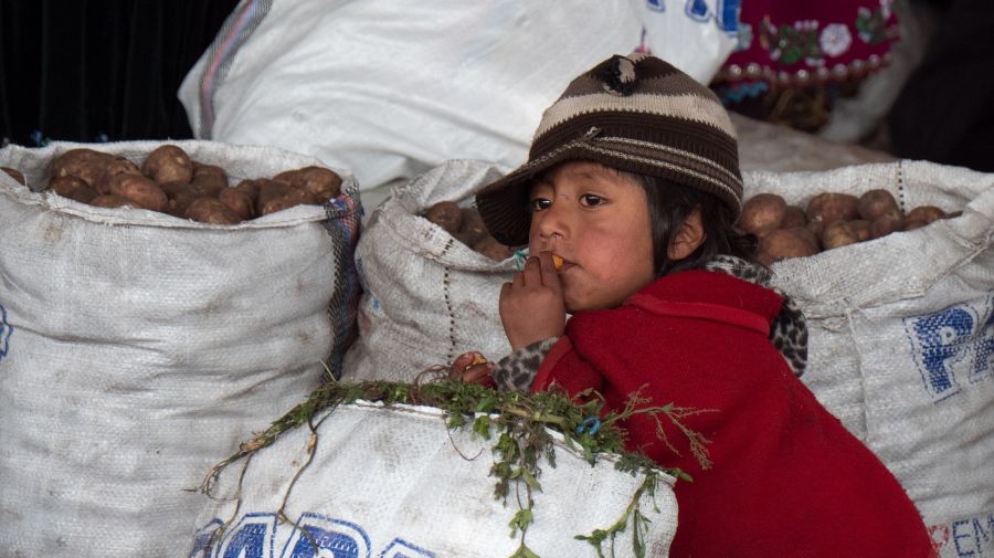 Equateur : Circuit découverte en immersion au coeur des communautés indigènes