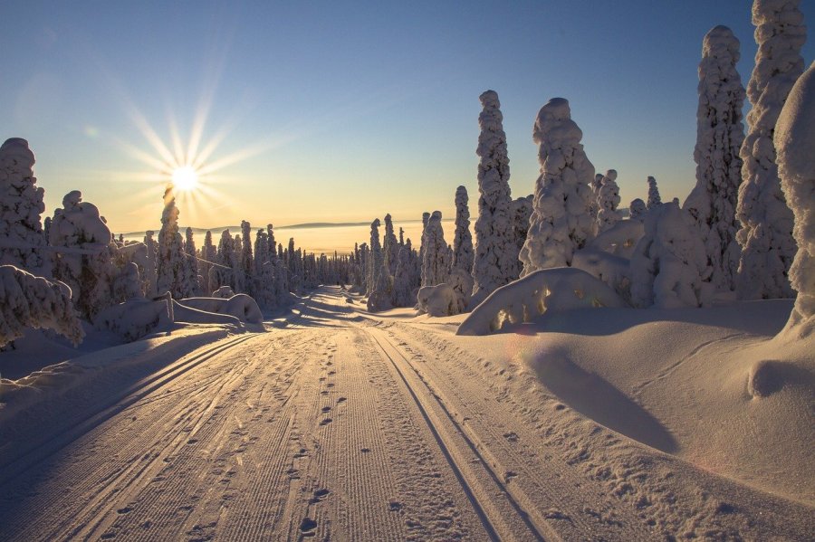 Ecotourisme en Suède et en Laponie