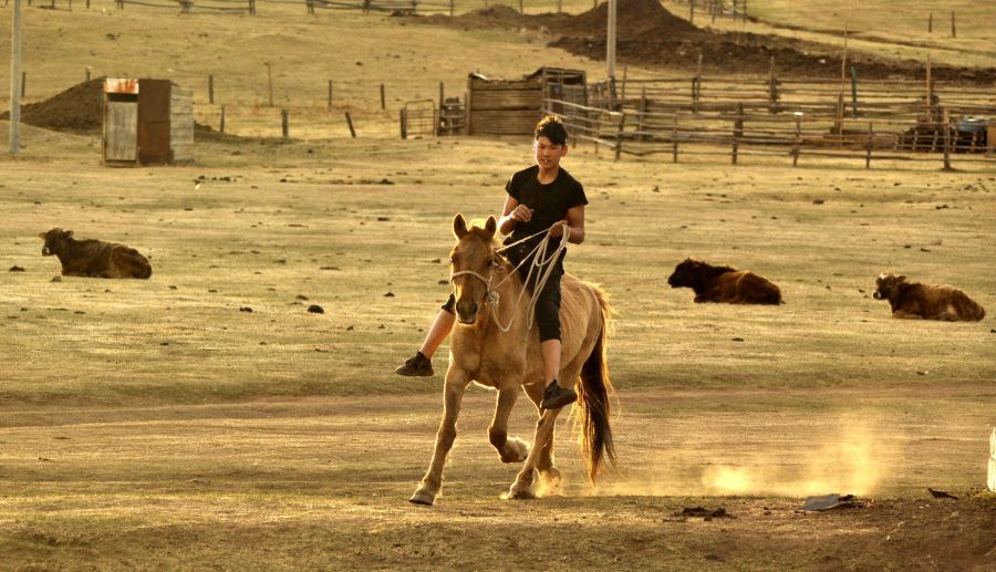 Mongolie : Randonnée à cheval dans la vallée d