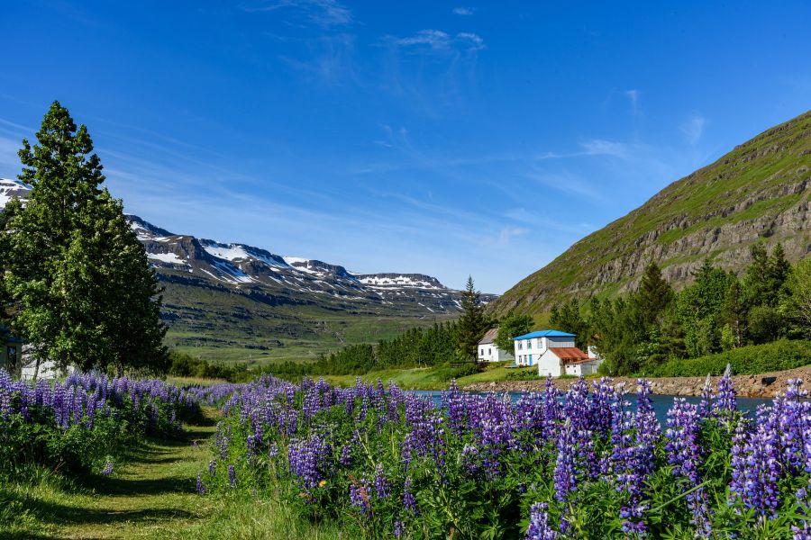 Ecotourisme en Islande en été ?