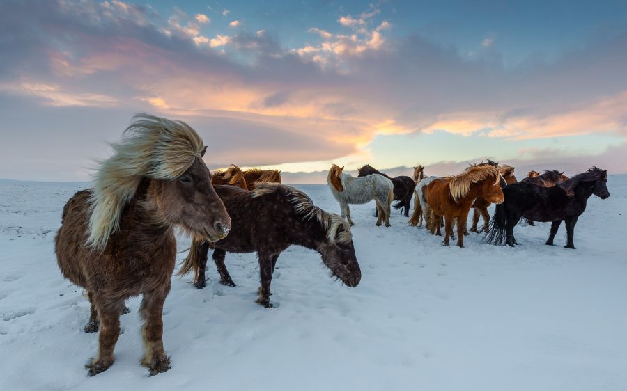 Islande : Séjour découverte de la côte Sud au coeur de l