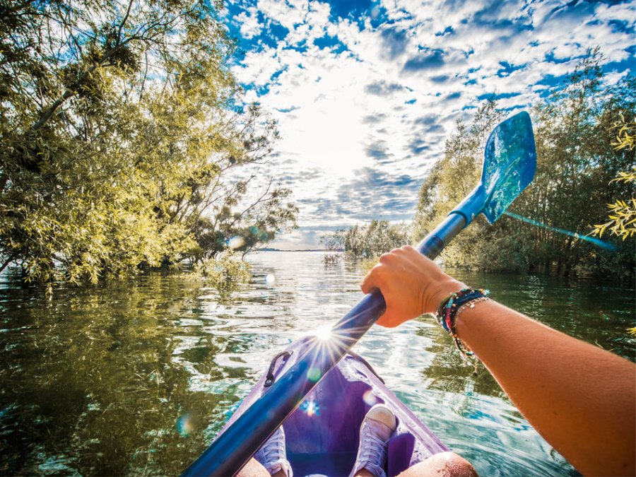 Ecotourisme dans l'Aube, une destination bucolique en Champagne !