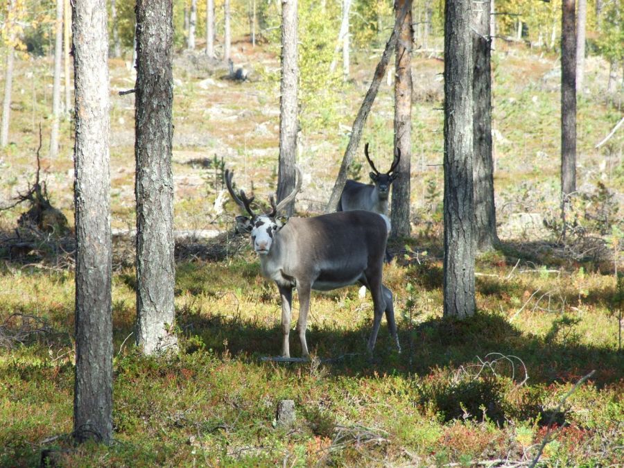 Ecotourisme et randonnée d