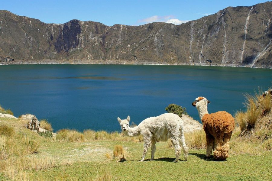 Quand voyager autrement en Equateur?