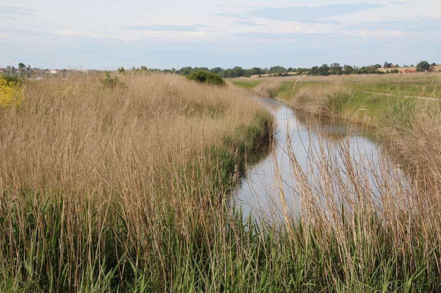 Le Parc naturel régional du Marais poitevin