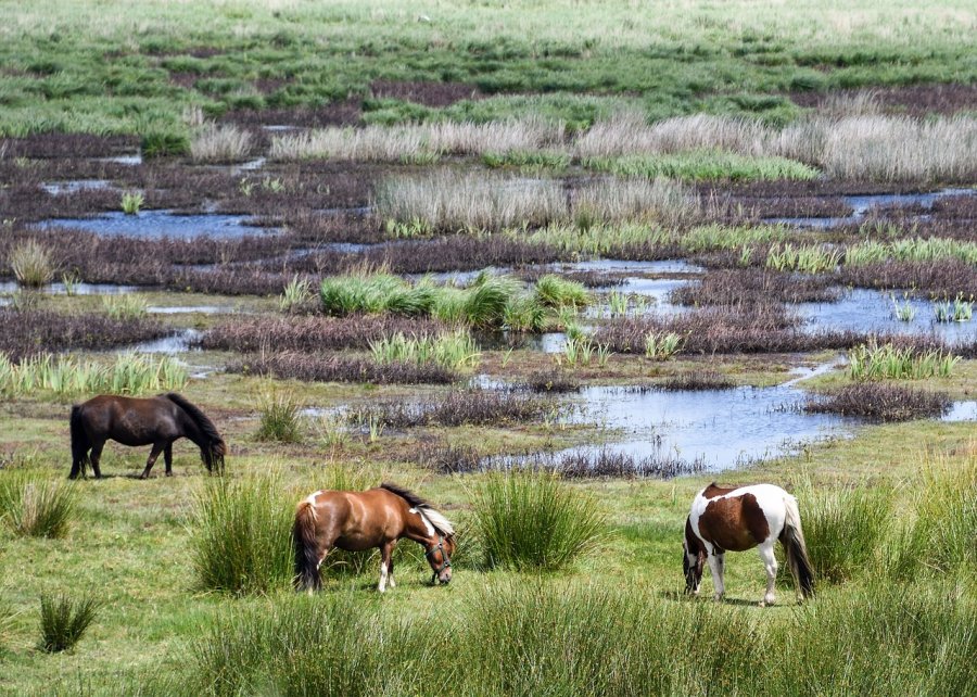 Ecotourisme en Pays de la Loire, une destination famille par excellence !