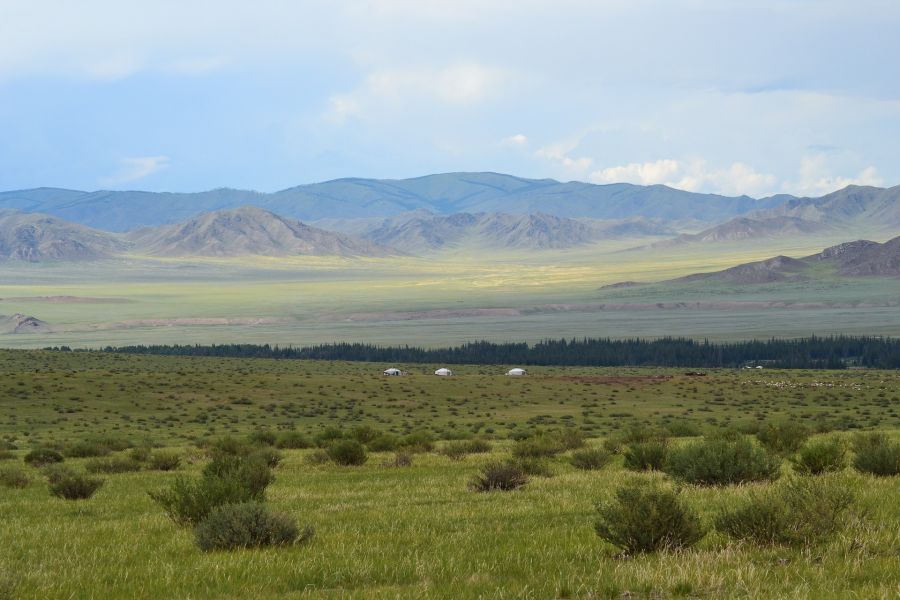 3 bonnes raisons de voyager en Mongolie