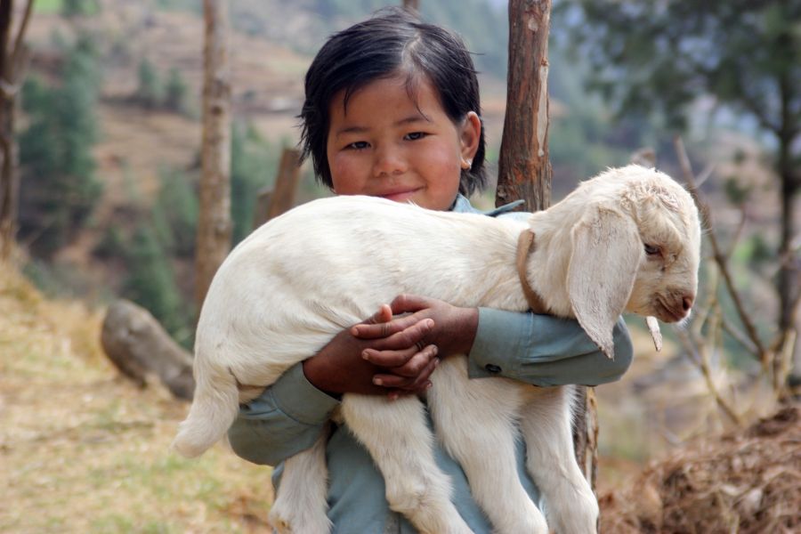 Népal : Pérégrination et immersion en pays Sherpa