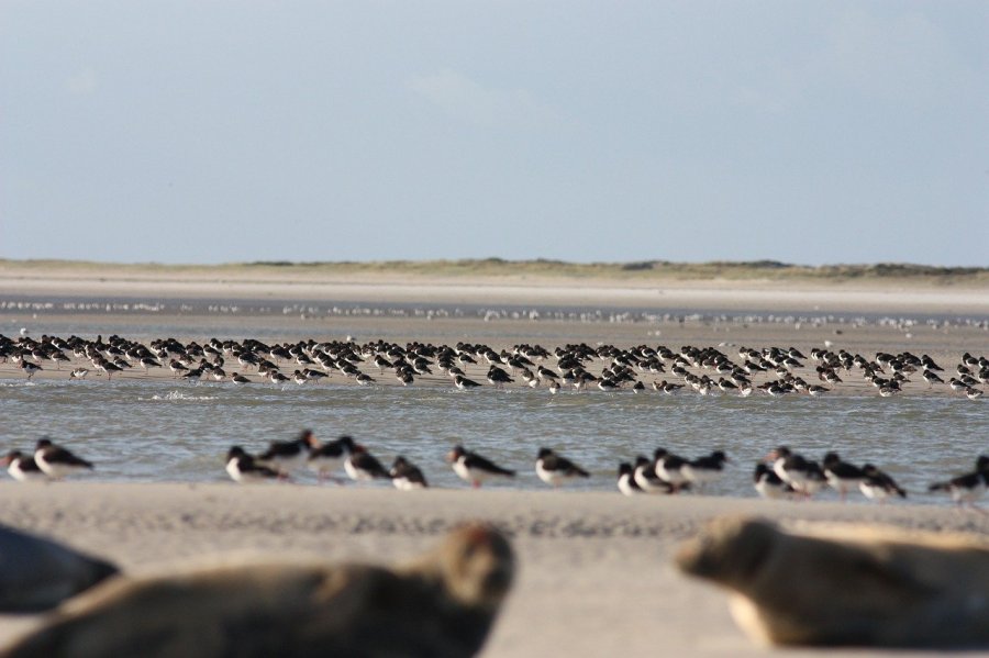 Ecotourisme Hauts-de-France, du Nord-Pas-de-Calais à la Picardie