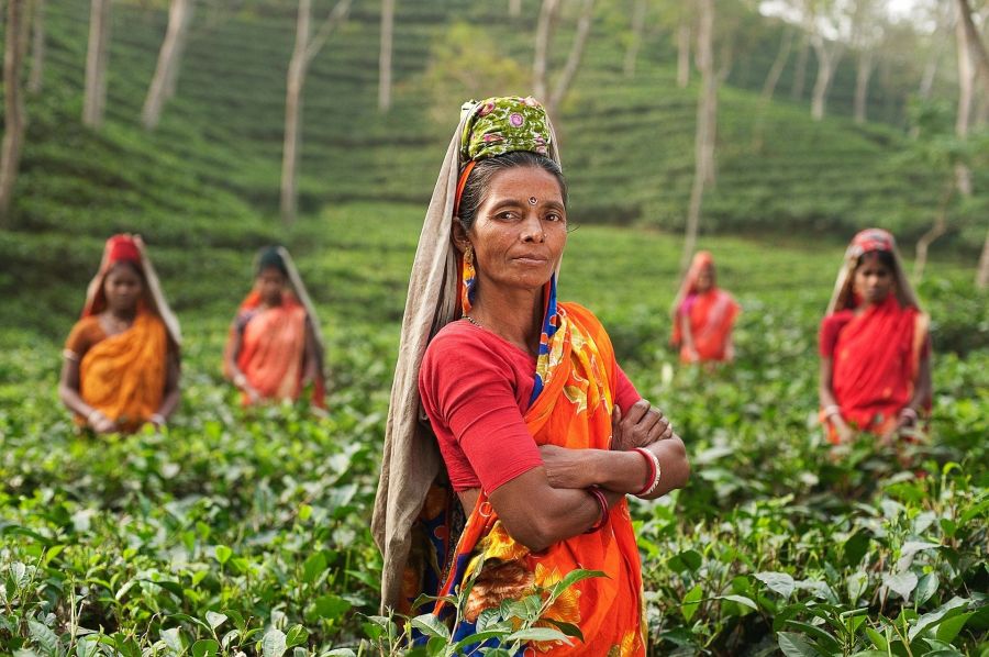 Inde du Sud : Circuit découverte en immersion au coeur des épices et des parfums du Kerala