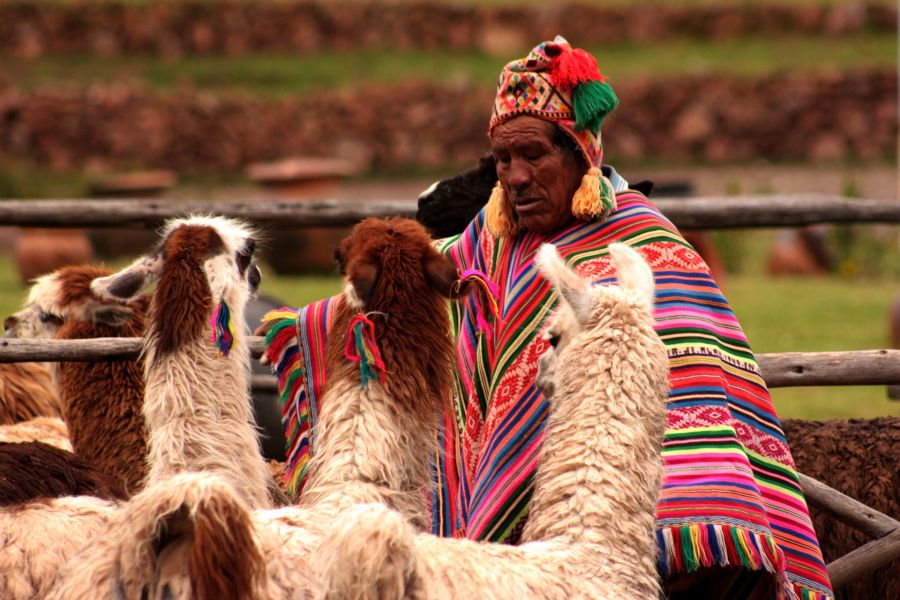 Pérou : Randonnées, découverte des sites sacrés et immersion chez les Quechua.