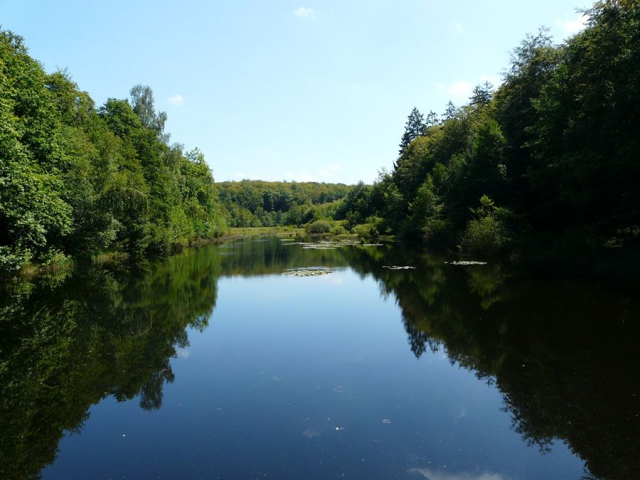 Randonnées dans les Vosges