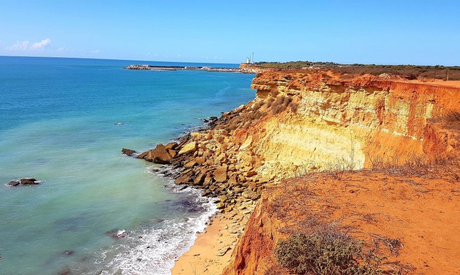 Ecotourisme en Espagne : randonnées à cheval sur les plages vierges d’Andalousie