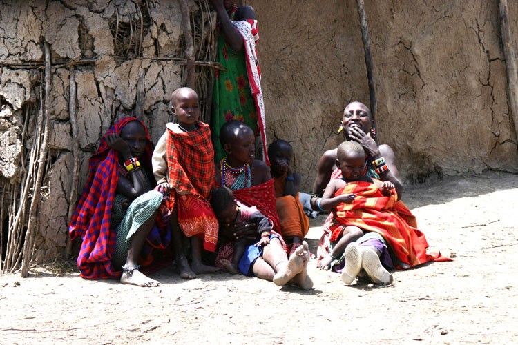 Kenya : Rencontre avec les populations locales Maasai et Safari dans les réserves naturelles