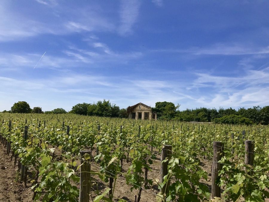 Oenotourisme en Nouvelle-Aquitaine